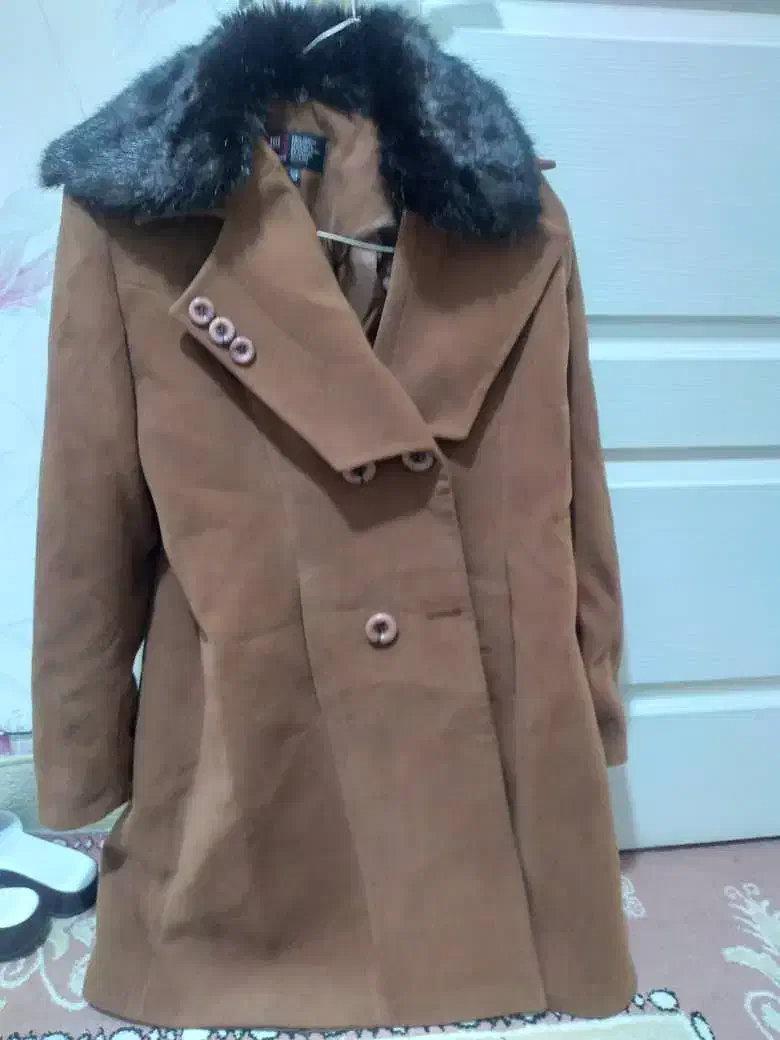 پالتو زنانه|لباس|تهران, بهداشت|دیوار