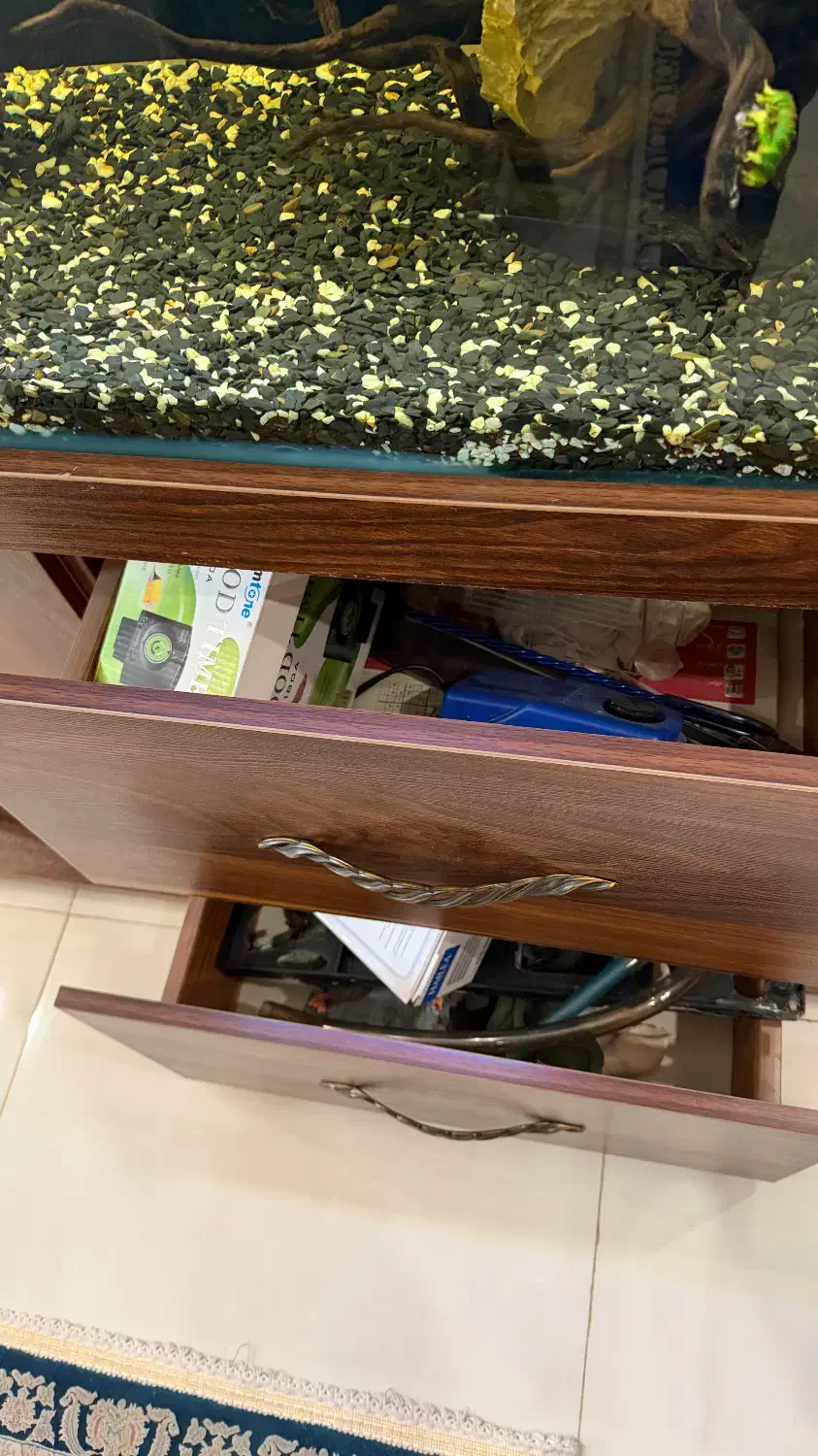 آکواریوم با تمامی تجهیزات فقط ۱۰ میلیون تومان|ماهی|تهران, سهروردی|دیوار