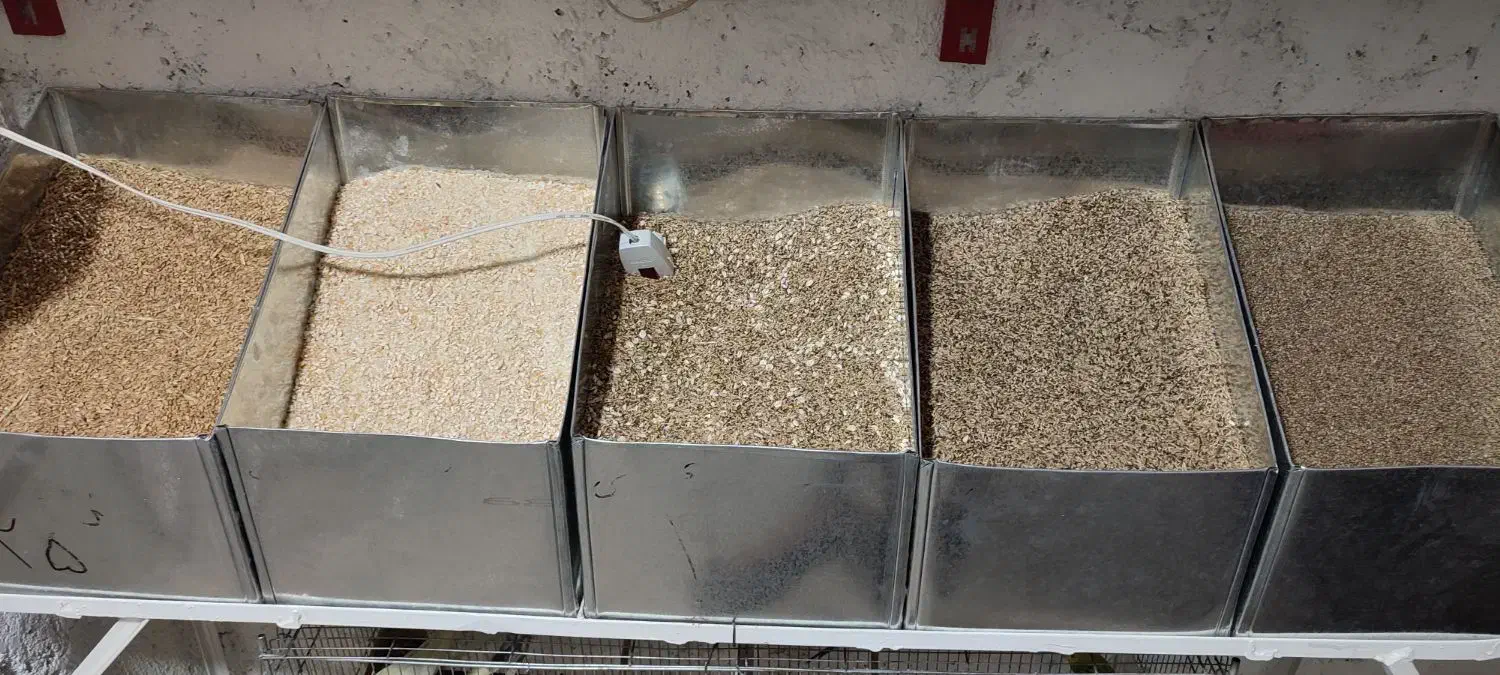 مغازه دان وپرنده فروشی ایوان|لوازم جانبی حیوانات|ایوان, |دیوار