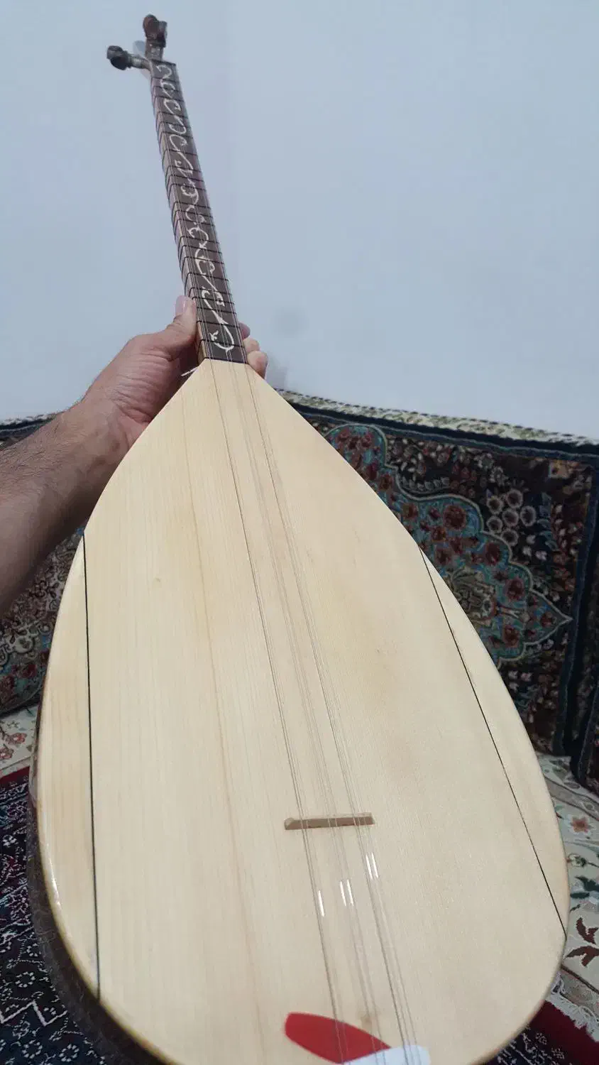 ساز دیوان دسته بلند|سازهای سنتی|سنندج, |دیوار