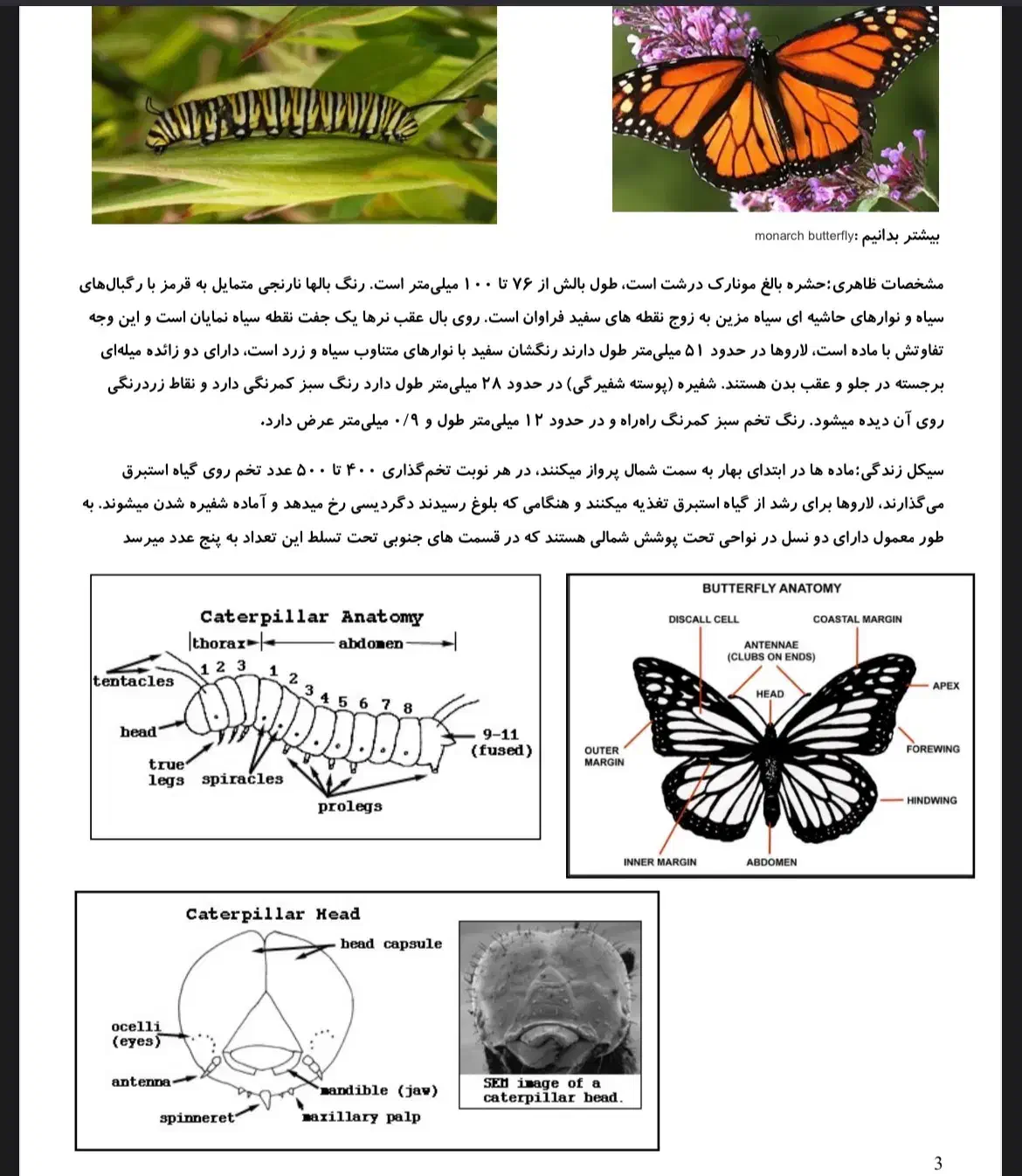 تدریس ریاضی،زیست، شیمی، فیزیک|خدمات آموزشی|اصفهان, احمدآباد|دیوار
