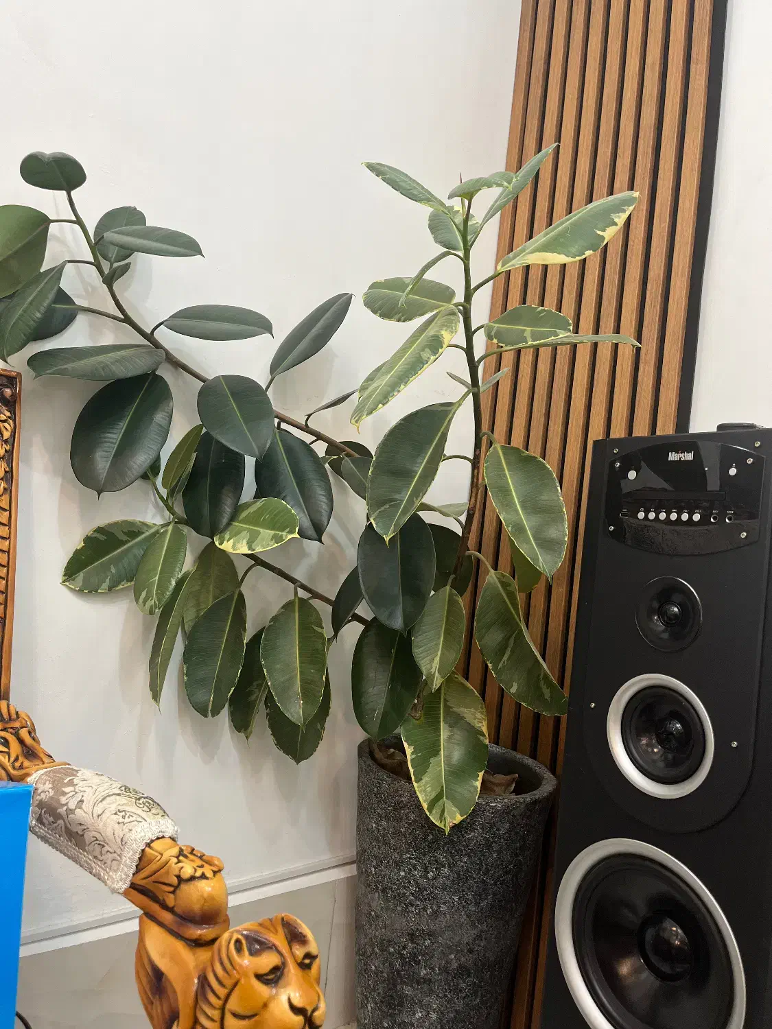 حراج وسیله خانه نو|حراج|رودهن, |دیوار