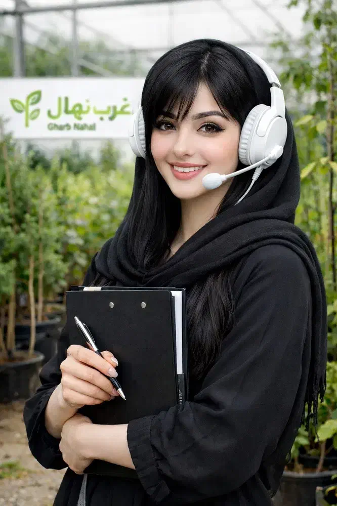 فروش نهال صنوبر گردو بادام سنجد زرشک پسته زیتون|خدمات باغبانی و درختکاری|ساری, |دیوار