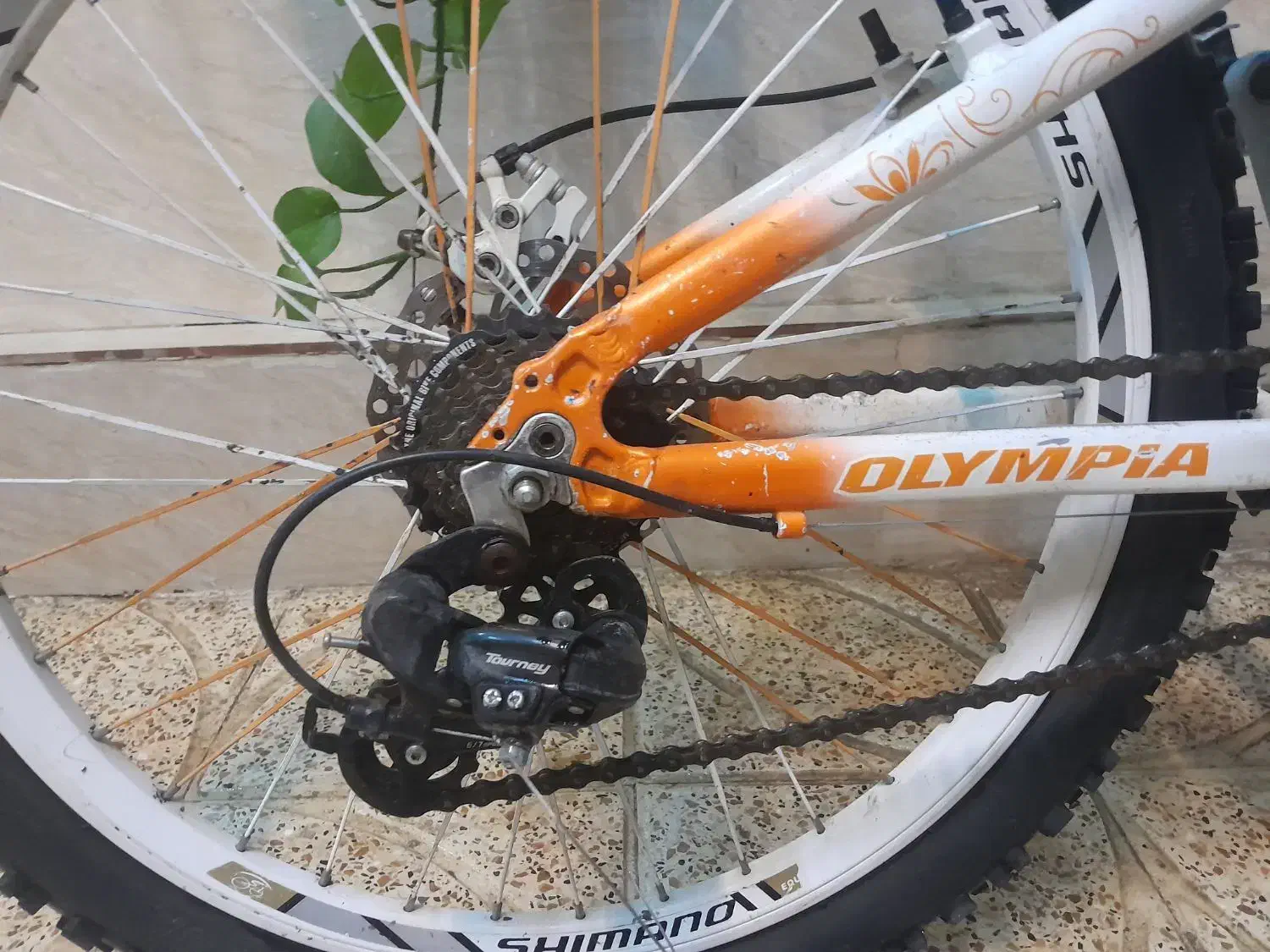 دوچرخه المپیا ۲۴|دوچرخه، اسکیت، اسکوتر|پاکدشت, پاکدشت (مامازند)|دیوار