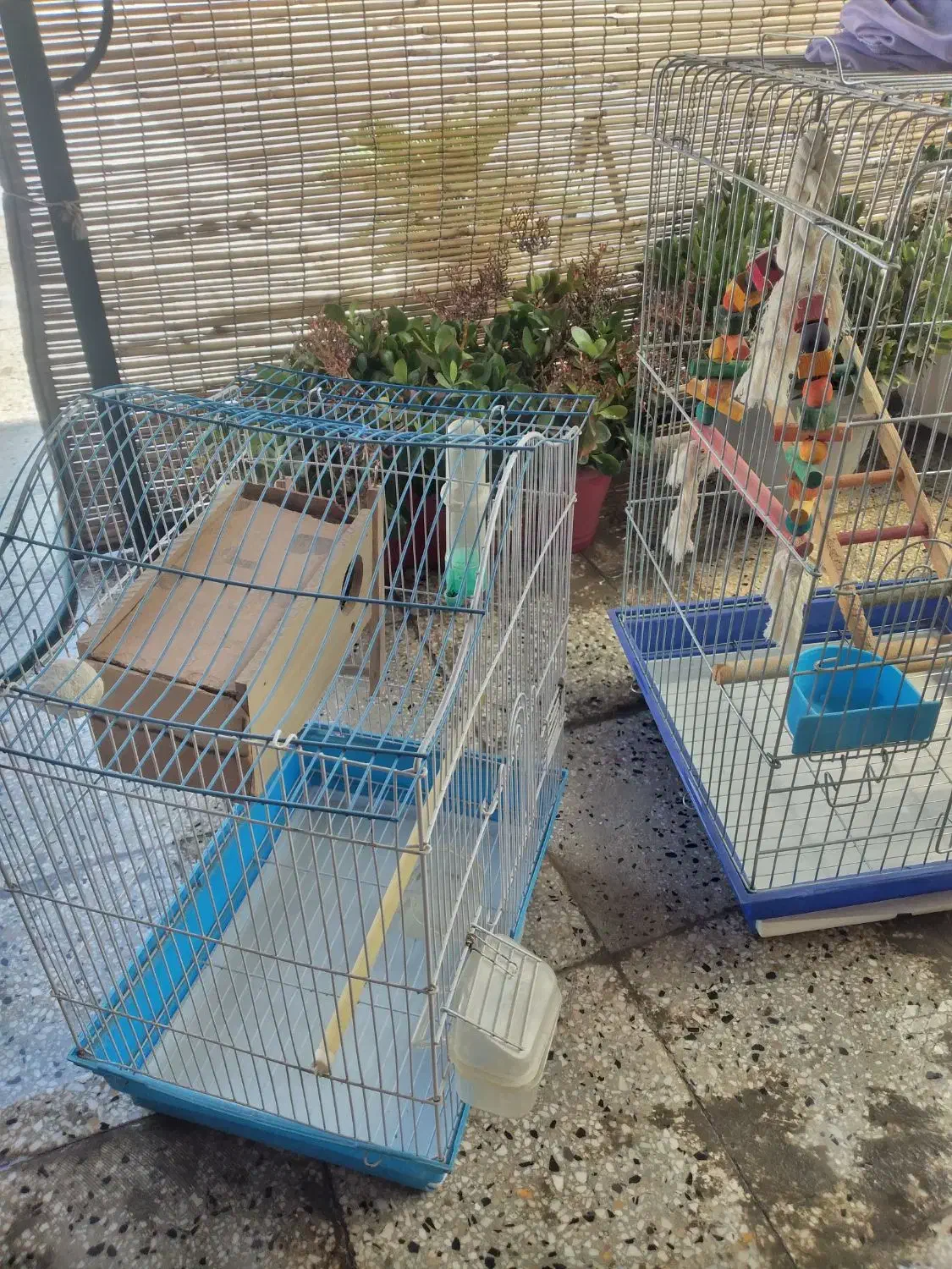 قفس|لوازم جانبی حیوانات|تهران, امیریه|دیوار