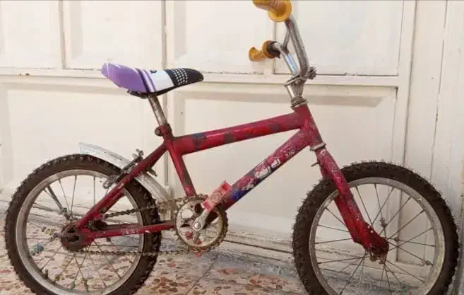 دوچرخه|دوچرخه، اسکیت، اسکوتر|باغ ملک, |دیوار