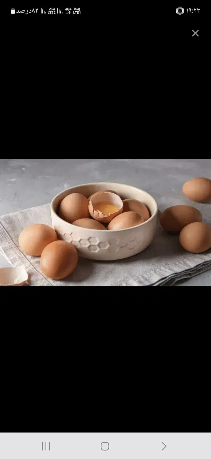 تخم مرغ برهما|حیوانات مزرعه|مشهد, کارگران|دیوار