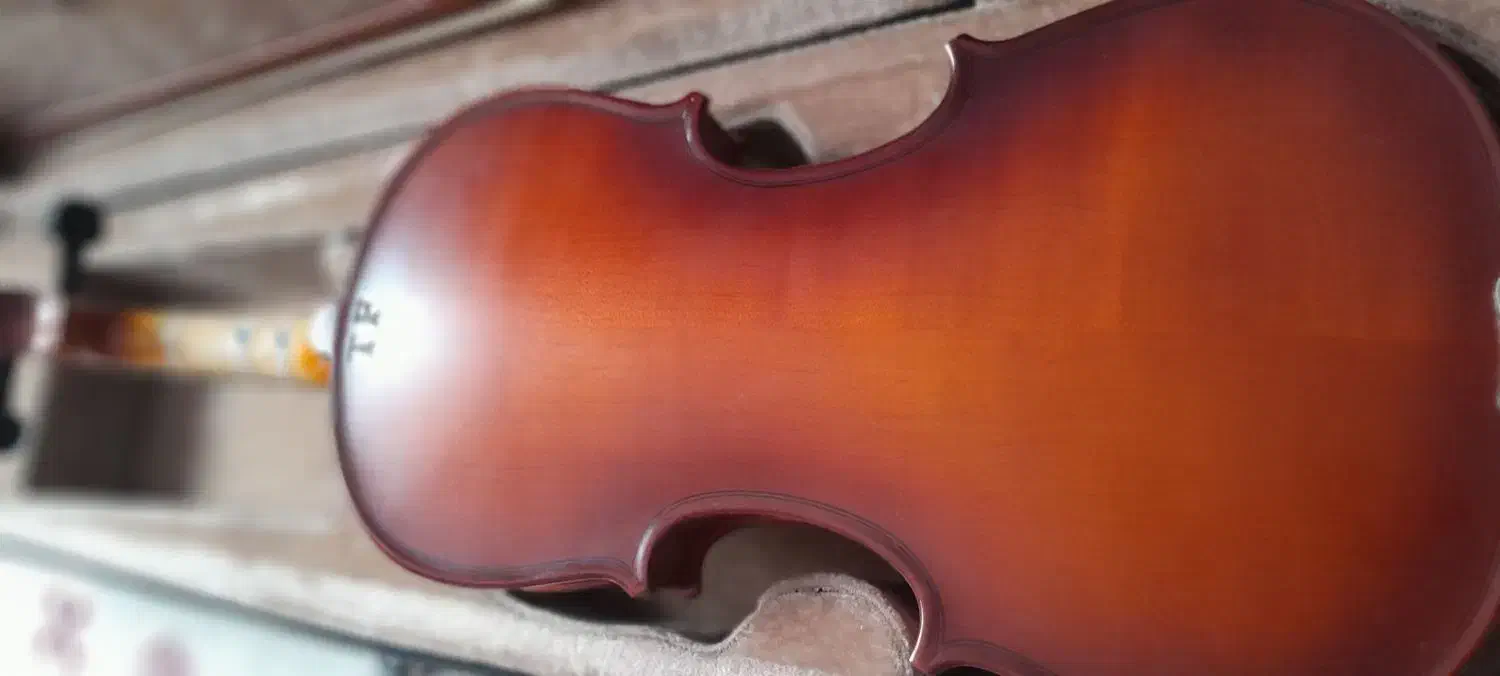 ویولنtf|ویولن|تهران, نازیآباد|دیوار