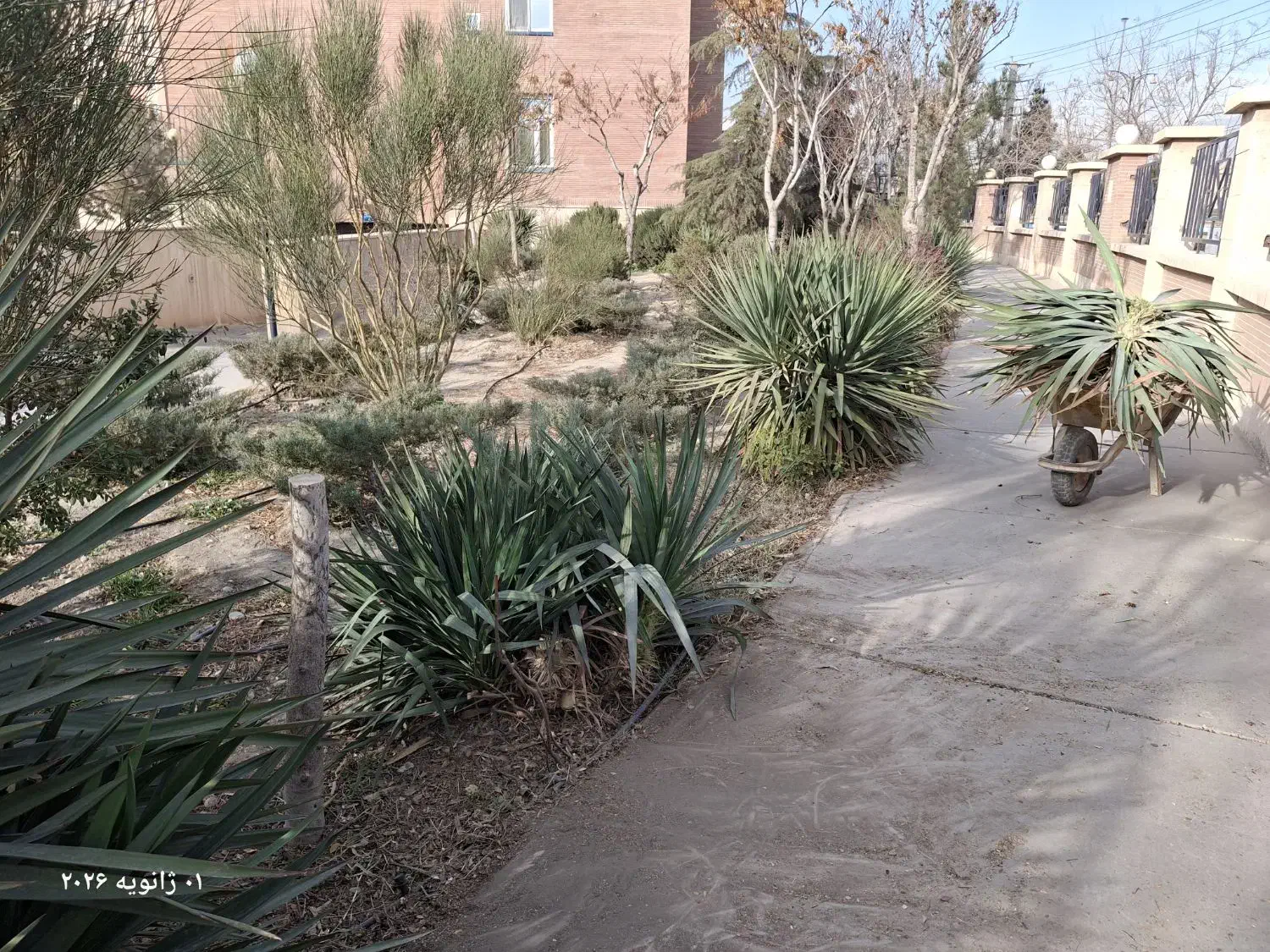 کارگر روز مزد|خدمات باغبانی و درختکاری|اندیشه, اندیشه فاز ۳|دیوار