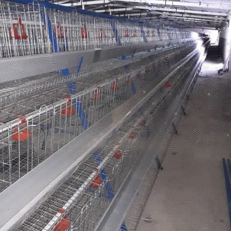 ماشین آلات کشاورزی ومر غداری|ماشین‌آلات صنعتی|آوج, |دیوار