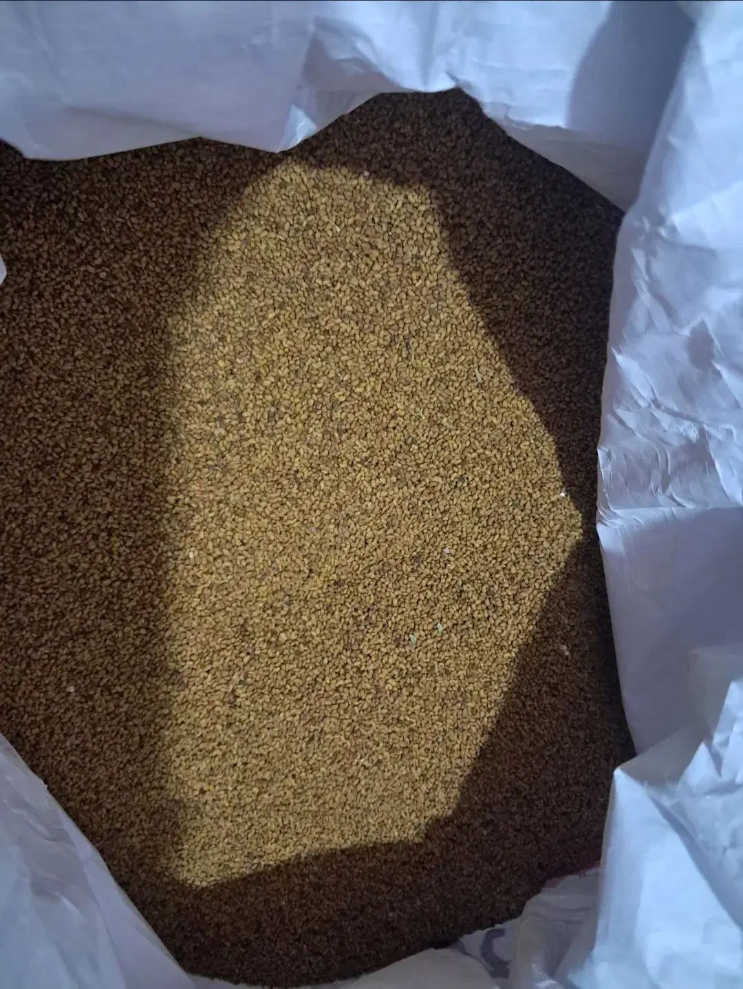 فروش بذر یونجه|خدمات باغبانی و درختکاری|امیدیه, |دیوار