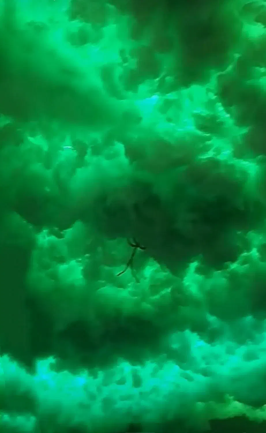 اجرای اَبر نوری و رقص نور با آهنگ|ریسه و چراغ تزئینی|کرمانشاه, |دیوار