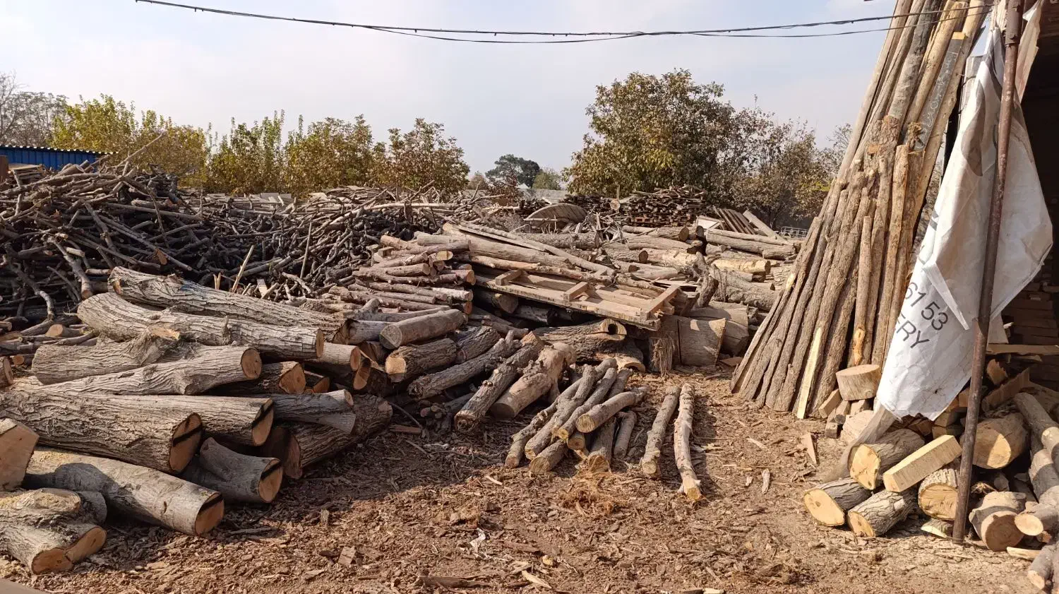 خریدار چوب هیزمی وصنعتی|خدمات باغبانی و درختکاری|احمدآبادمستوفی, |دیوار