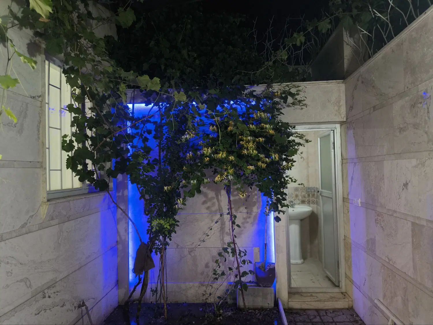 تصویر 16