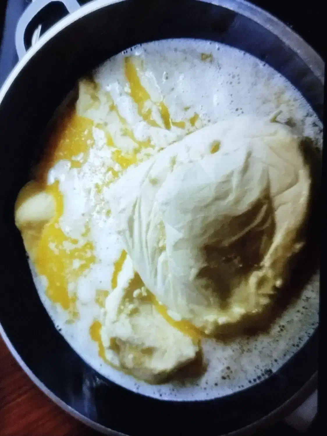 کرهحیوانی|خوردنی و آشامیدنی|اصفهان, دانشگاه اصفهان|دیوار