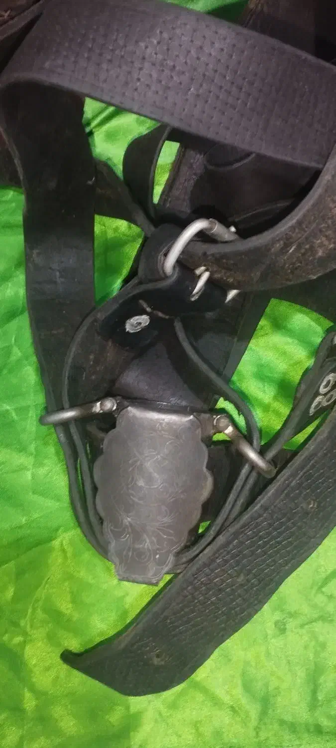 هیکلی علامت کشی گاومیش|کلکسیون اشیاء عتیقه|ری, ملک‌آباد|دیوار