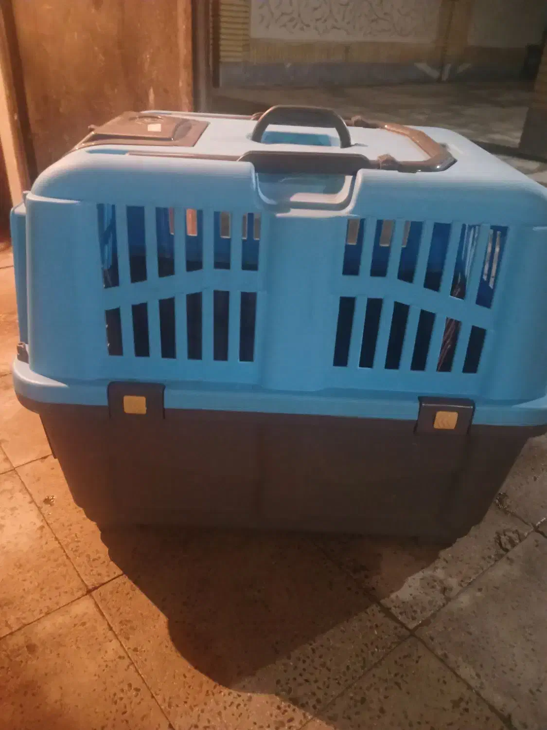 باکس حیوان خانگی|لوازم جانبی حیوانات|هشتگرد, هشتگرد قدیم|دیوار