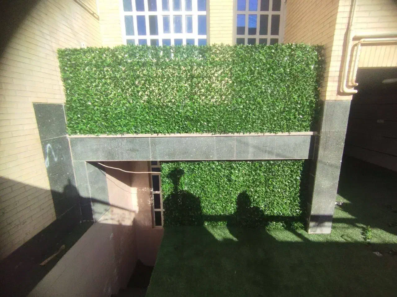 طرح برگ پرتقالی فنس پر تراکم|گل و گیاه طبیعی|یزد, |دیوار