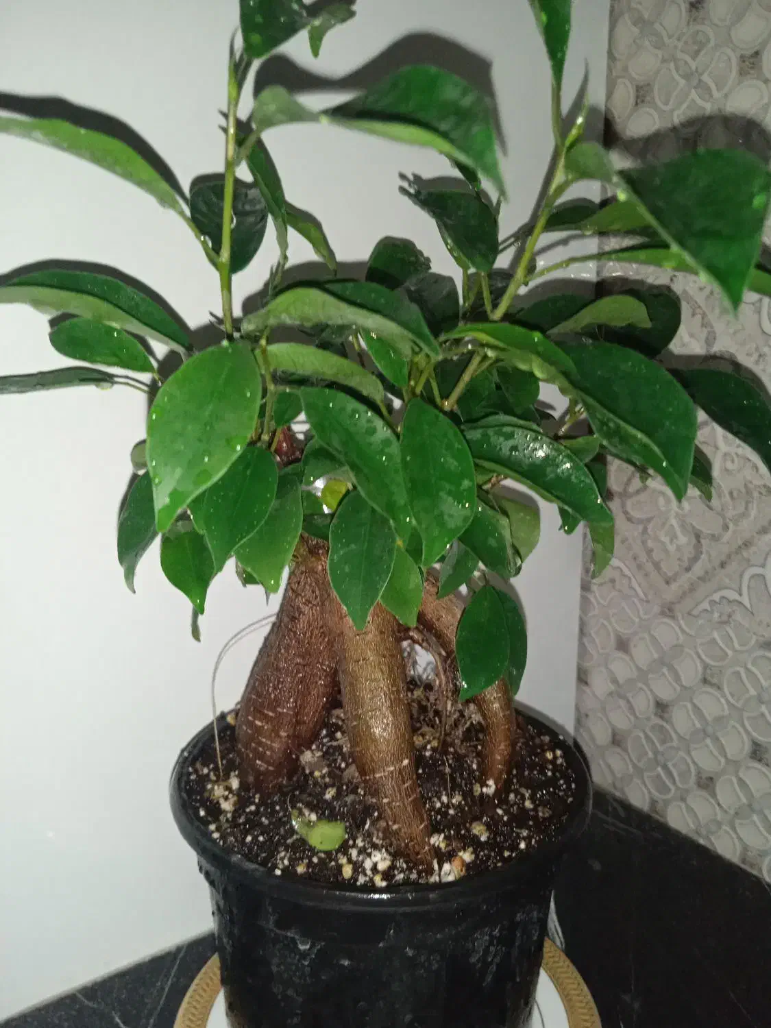 گل ملک|فروش آپارتمان|بروجرد, |دیوار