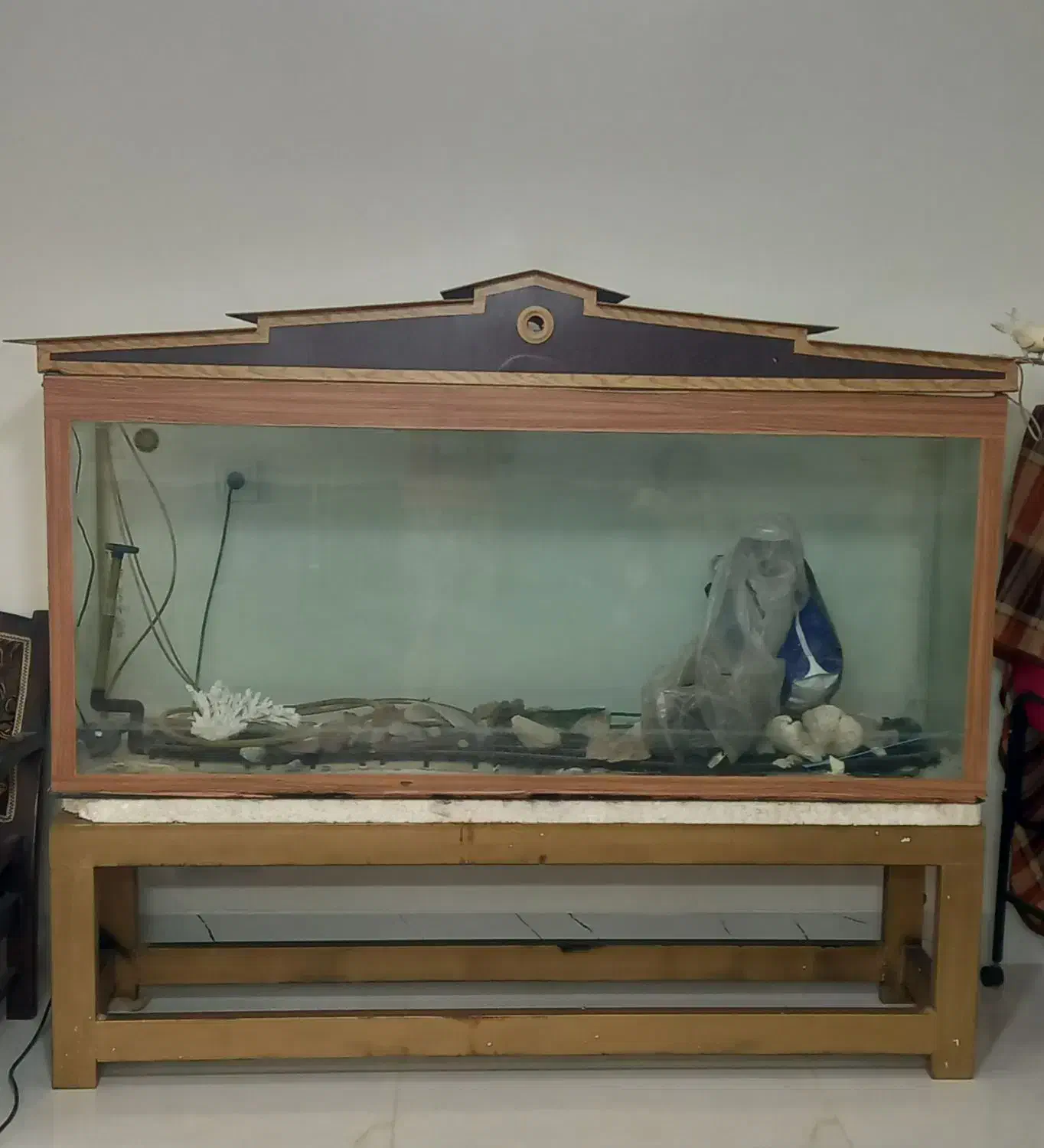 آکواریوم|ماهی|اصفهان, باغ فدک|دیوار