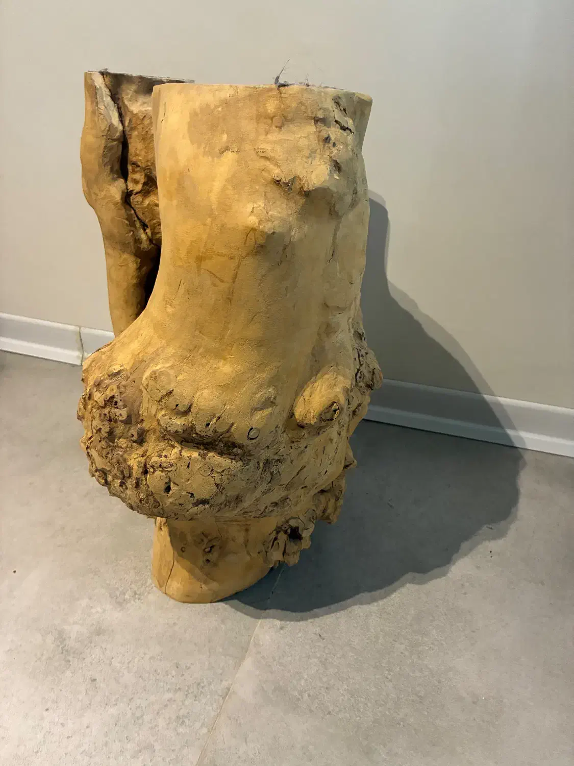 تنه چوب زبان گنجشک|صندلی و نیمکت|تهران, شهرک آزمایش|دیوار