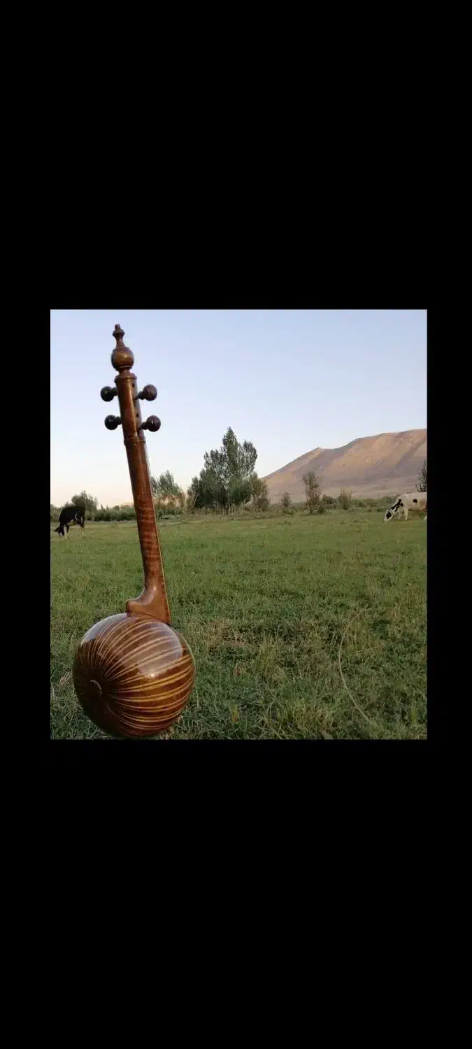 کمانچه حرفه ای کلکسیونی|سازهای سنتی|بروجرد, |دیوار