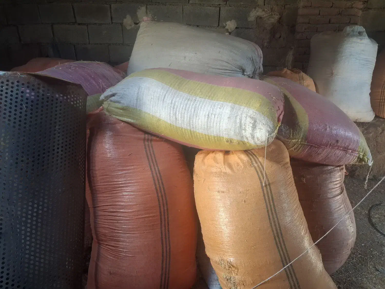 کاه عدس|حیوانات مزرعه|اردبیل, |دیوار