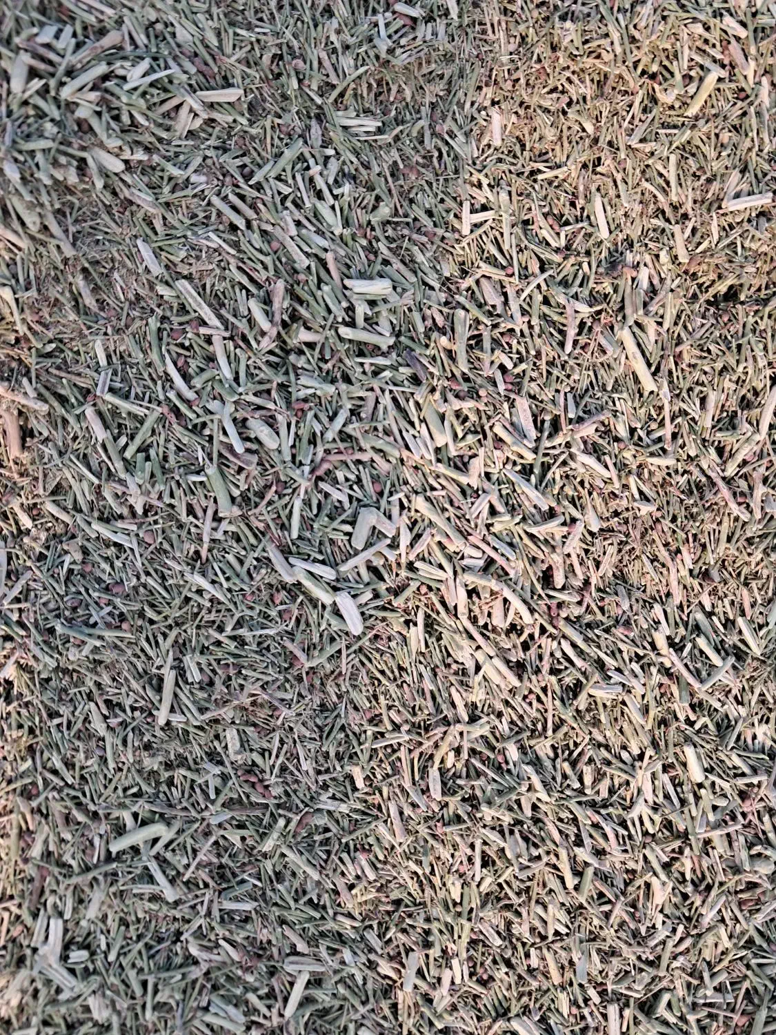 خارشتر درجه یک اماده ارسال ۲۰ تن|لوازم جانبی حیوانات|گناباد, |دیوار