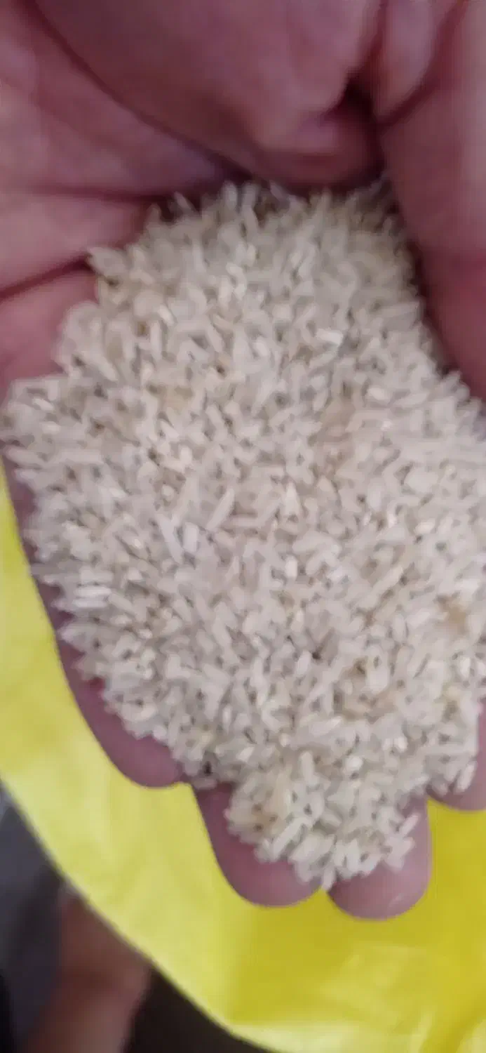 گردو وبرنج کلات|خوردنی و آشامیدنی|تربت‌حیدریه, نواب صفوی|دیوار