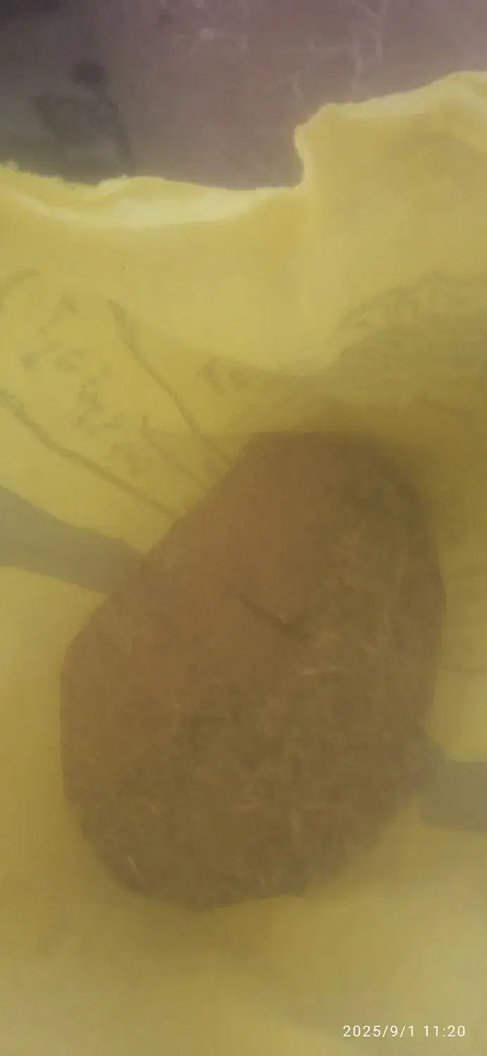 کاه عدس|لوازم جانبی حیوانات|خواجه, |دیوار