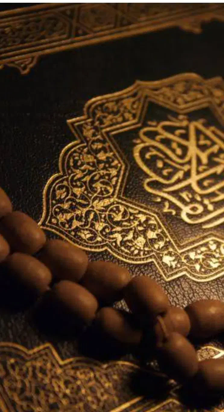 سید...|کتاب و مجله مذهبی|کرمان, |دیوار