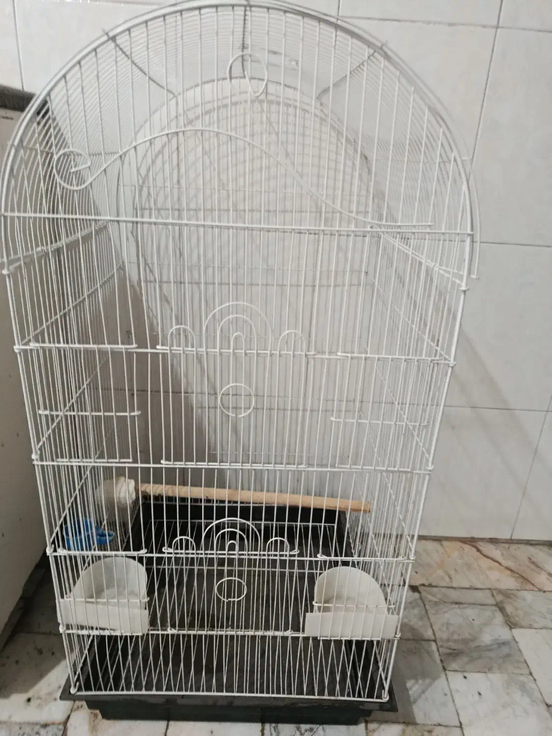 توجه ««قفس کاسکویی خیلی بزرگ عروس»»|لوازم جانبی حیوانات|گرگان, |دیوار