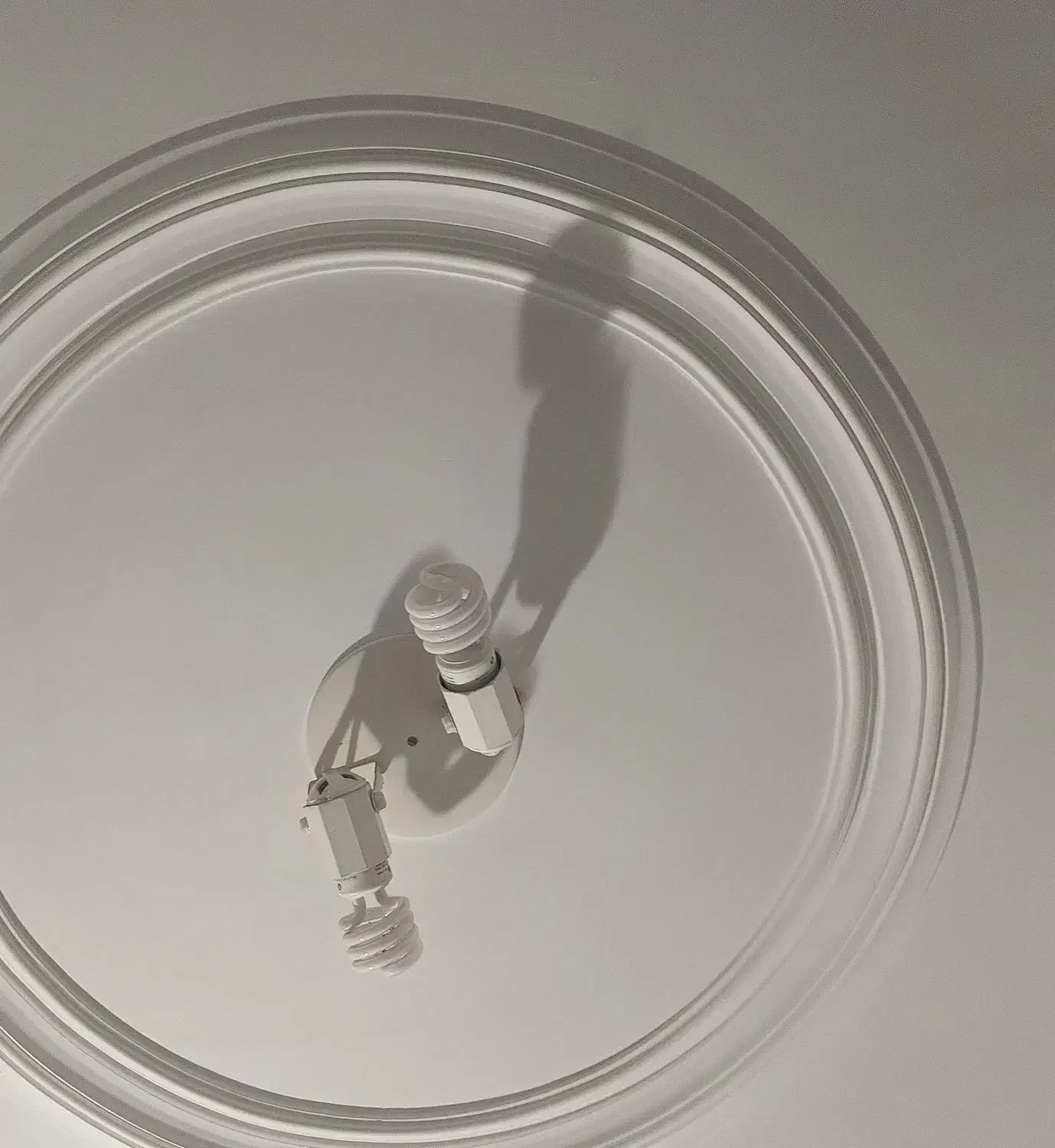 چهار عدد هولدر دوتایی|لامپ و چراغ|دزفول, |دیوار