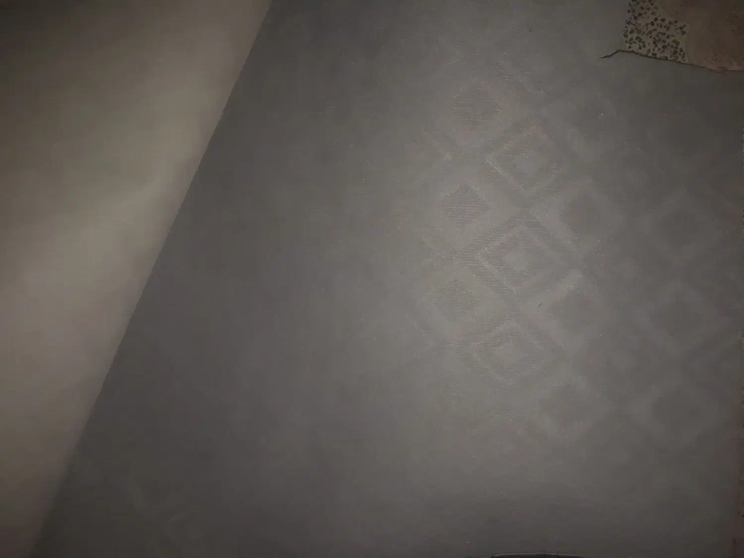 موکت کاملا نو|موکت|آبیک, |دیوار