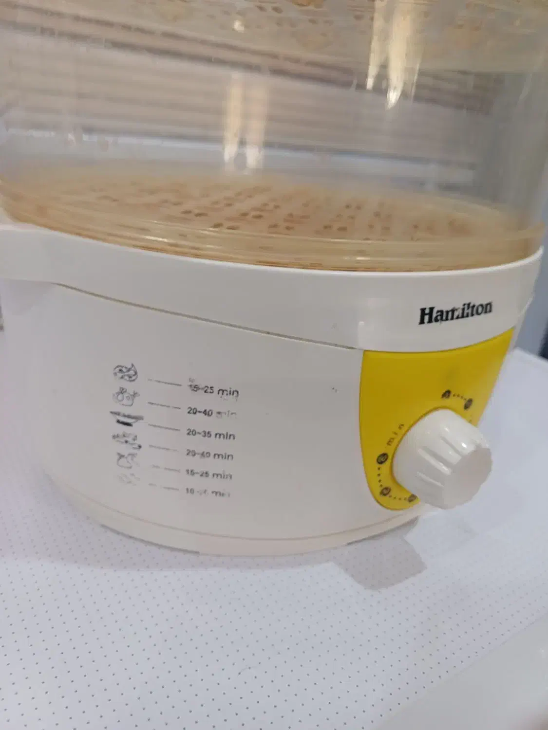 بخار پز نو سالم|سایر لوازم برقی|ملایر, |دیوار