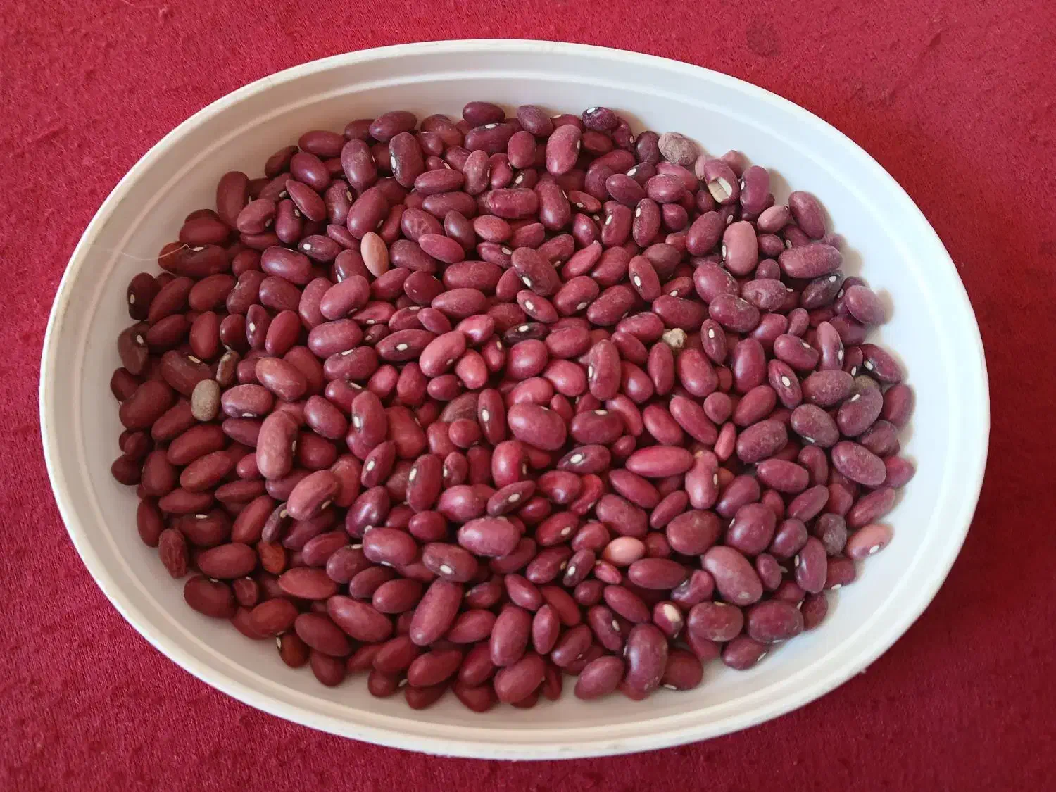 لوبیا قرمز|خوردنی و آشامیدنی|درودزن, |دیوار