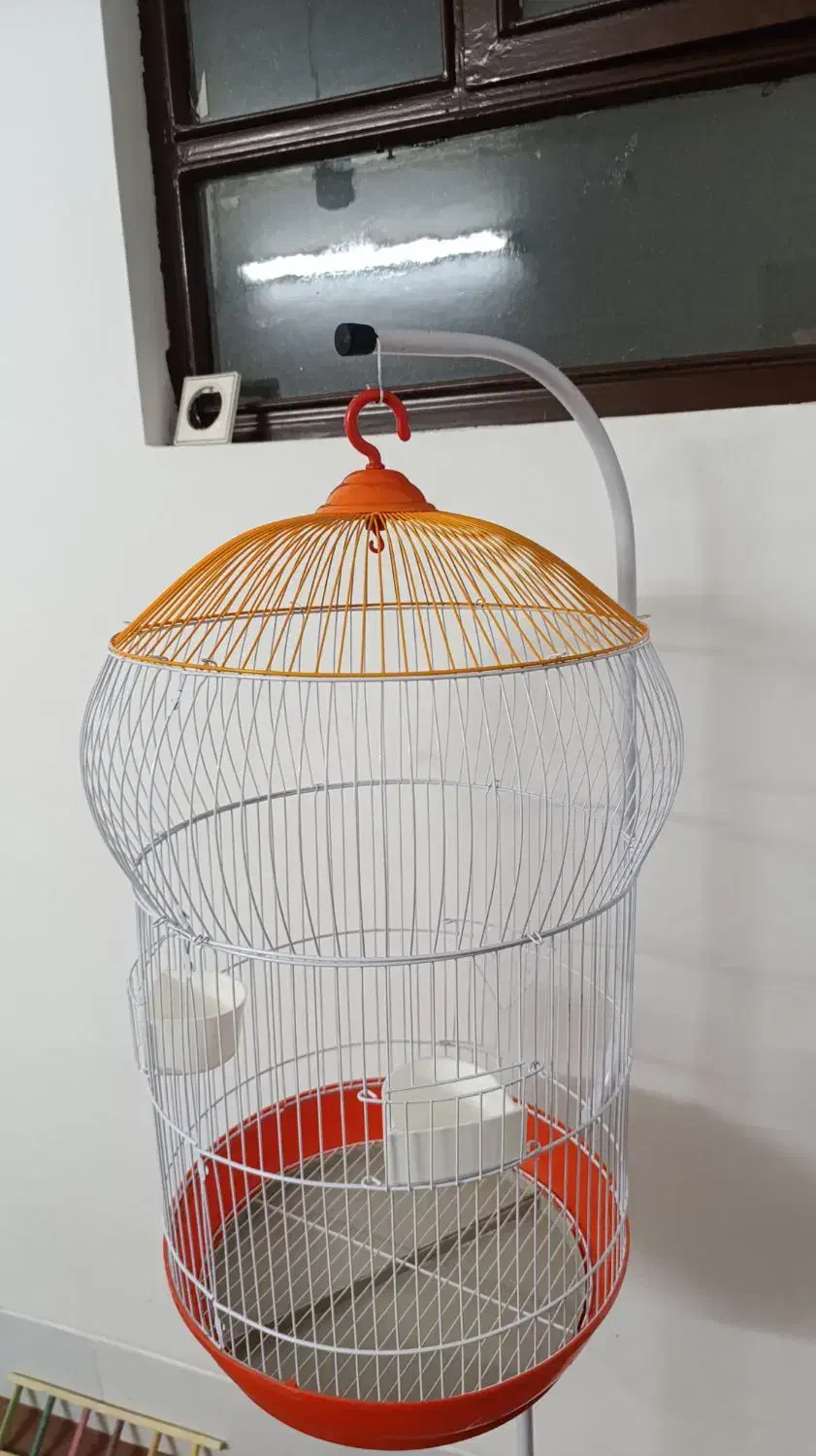 قفس و آویز برای طوطی|لوازم جانبی حیوانات|شاهرود, |دیوار