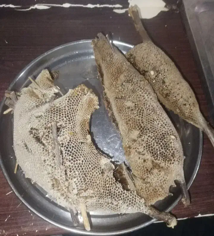 عسل کنار با شاخه|خوردنی و آشامیدنی|تهران, جیحون|دیوار