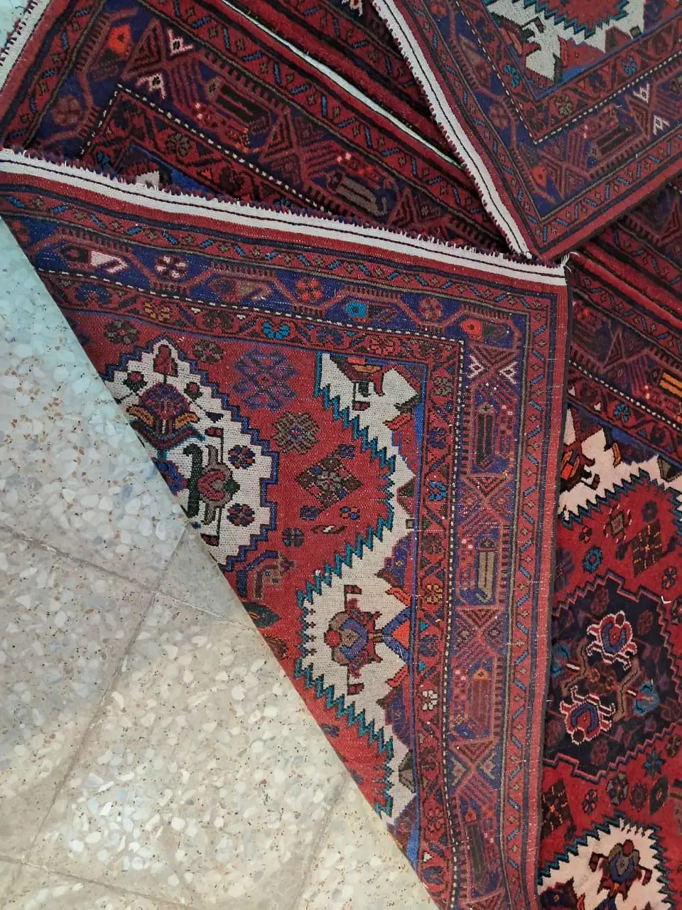 یک جفت فرش دستبافت زیبا|فرش|زنجان, |دیوار