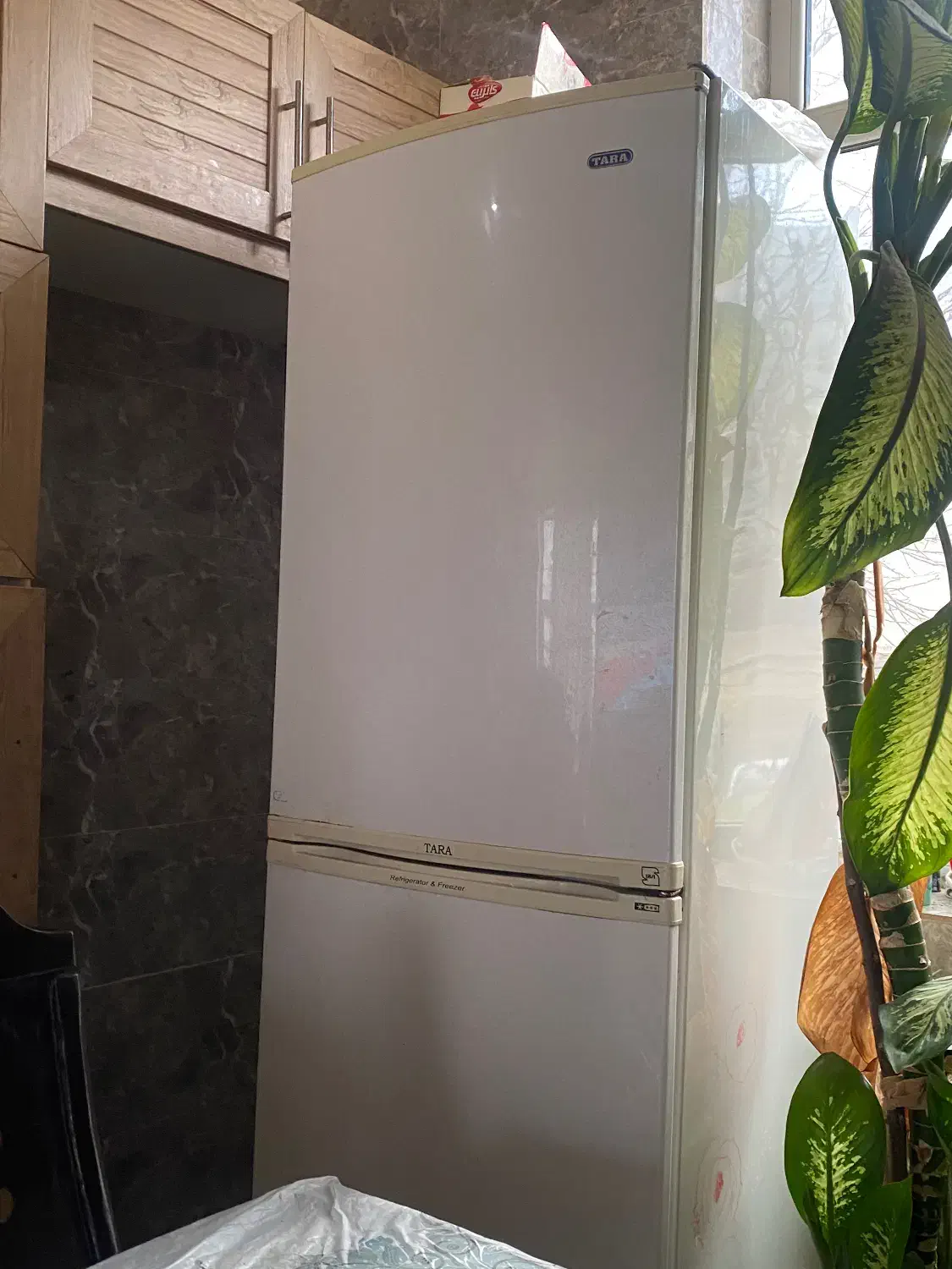 یخچال|یخچال و فریزر|گیلان غرب, |دیوار