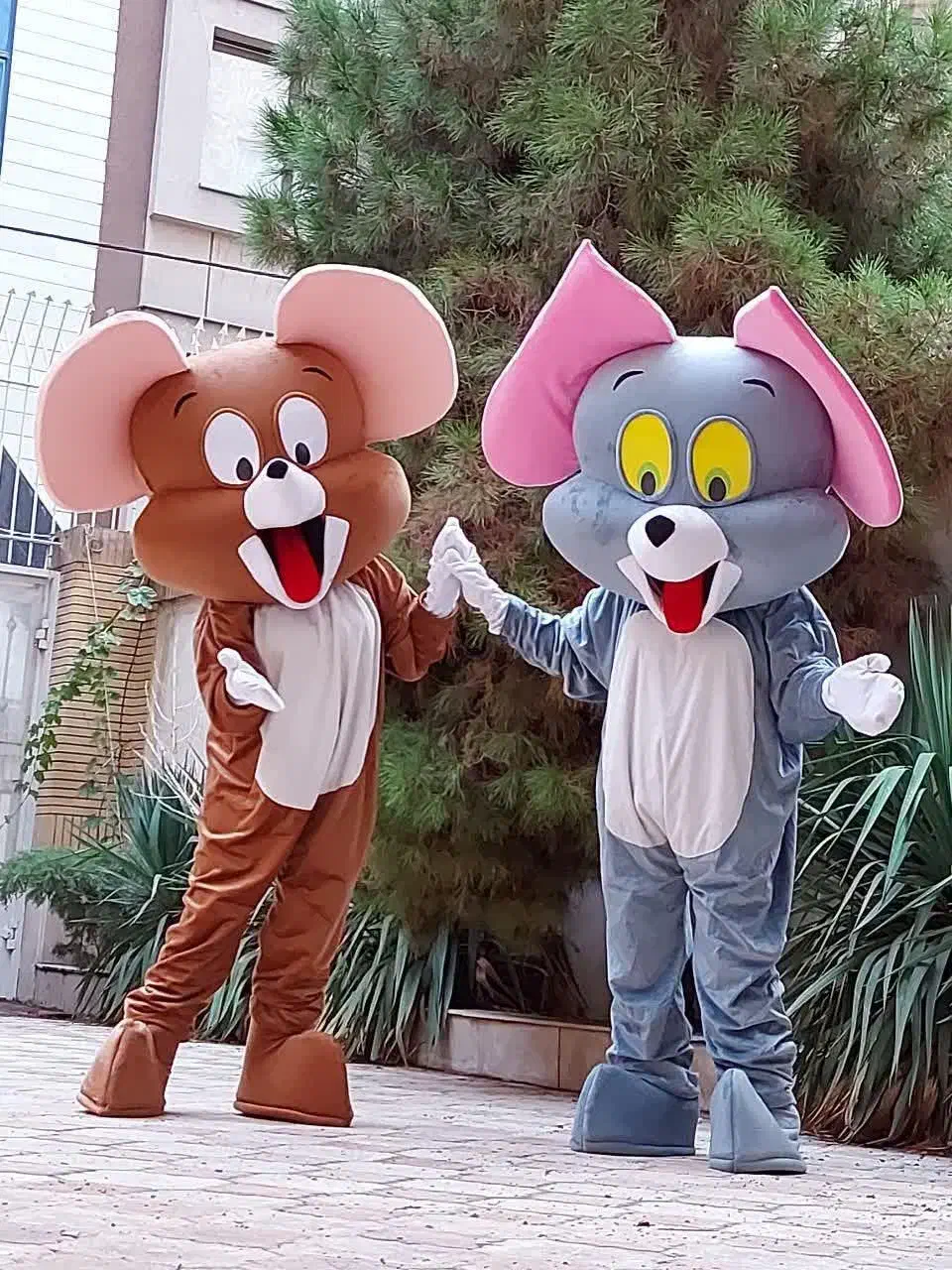 اجاره تن پوش عروسکی تام|خدمات پذیرایی، مراسم|نور, |دیوار