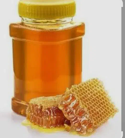 عسل|خوردنی و آشامیدنی|مشهد, کوی المهدی|دیوار