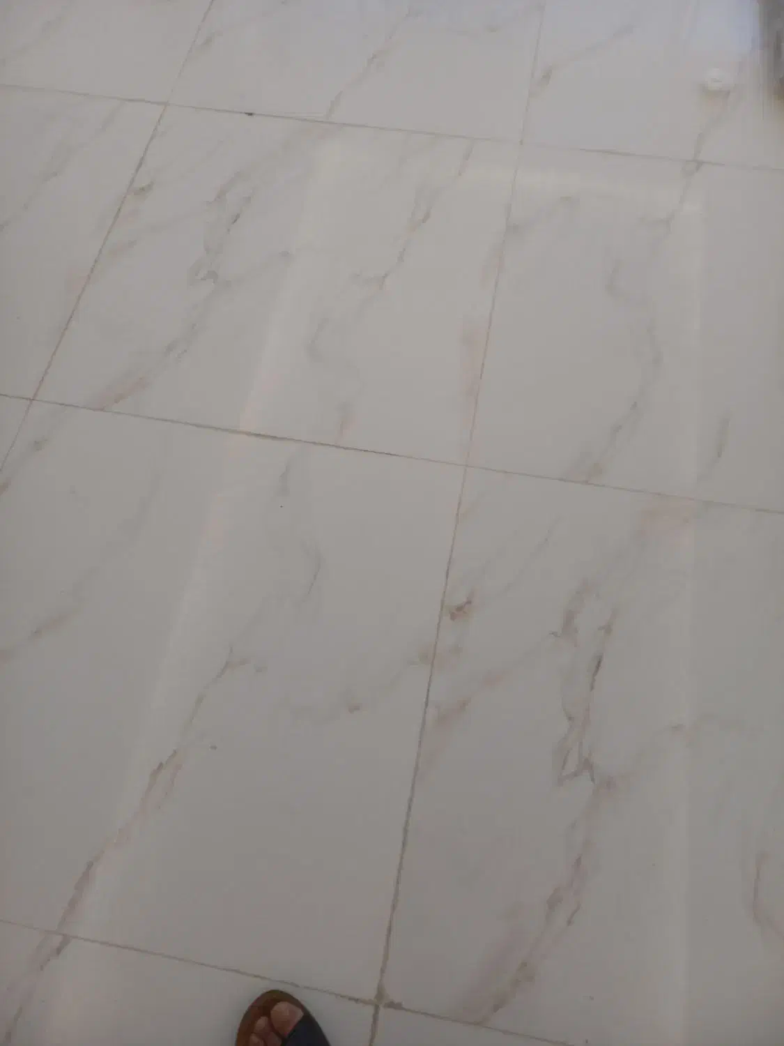 شرکت نظافتی فروغ گستر|خدمات نظافت|ایلام, |دیوار