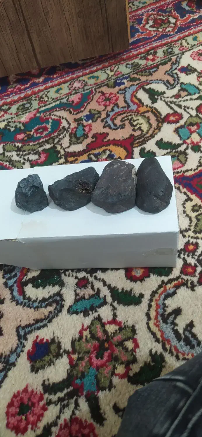 فسیل و شهاب سنگ|کلکسیون اشیاء عتیقه|تفرش, |دیوار