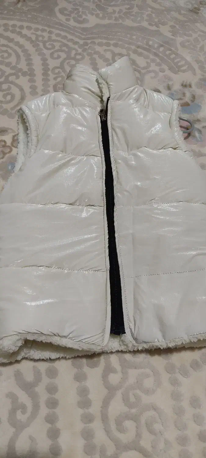 کریر|کالسکه و لوازم جانبی|سهند, |دیوار