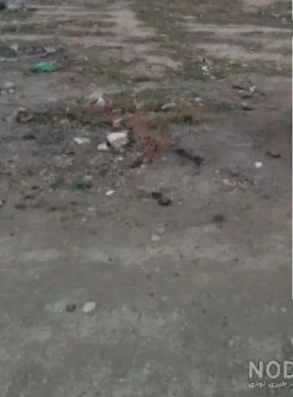 زمین فروشی 125|فروش زمین و ملک کلنگی|سبزوار, شرق کال شمالی|دیوار