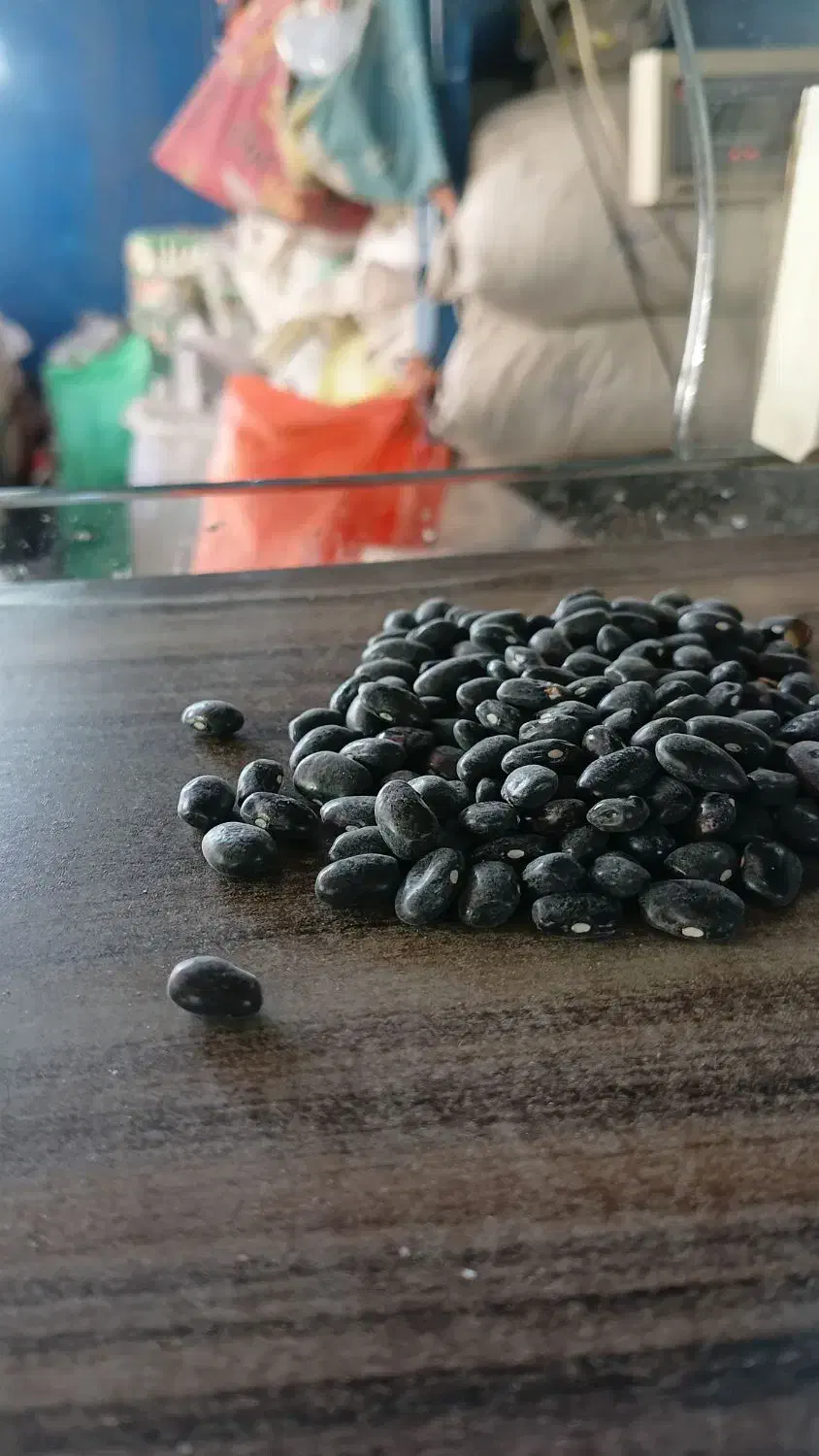 لوبیا سیاه درمانی|خوردنی و آشامیدنی|تهران, هرندی|دیوار
