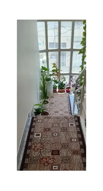 فروش فرش راپله|فرش|وحیدیه, |دیوار