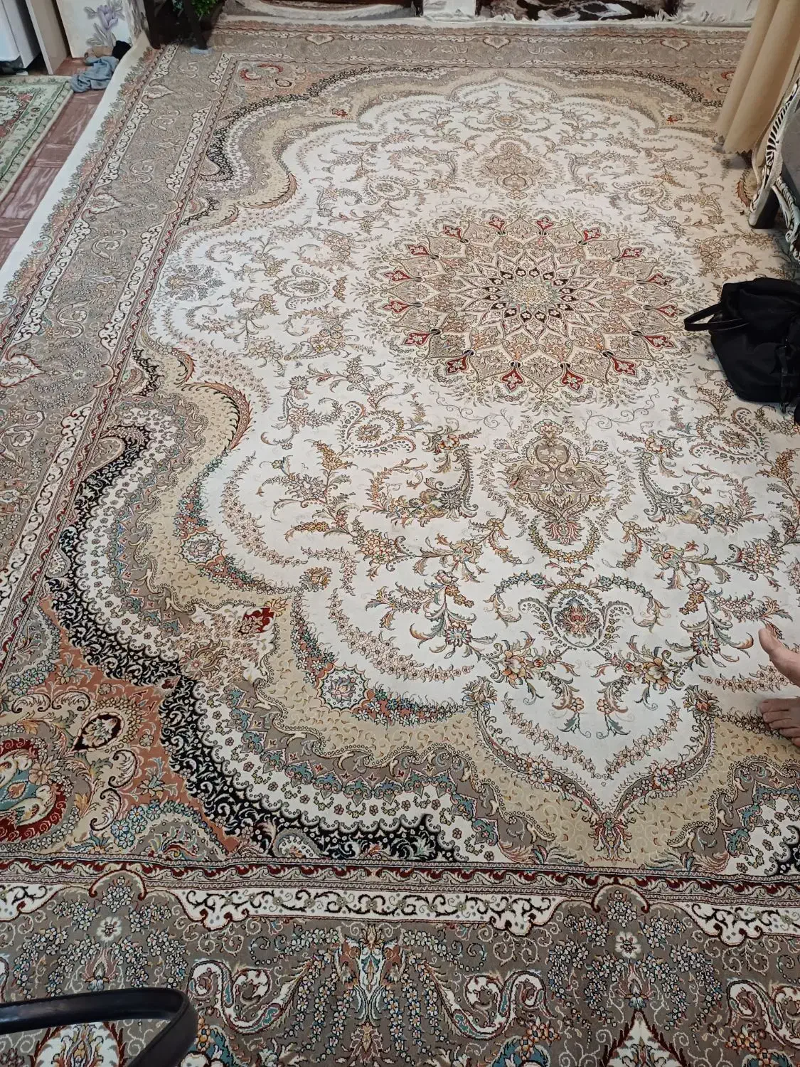 تعدادی فرش ۹متری و ۱۲ متری|فرش|فومن, |دیوار