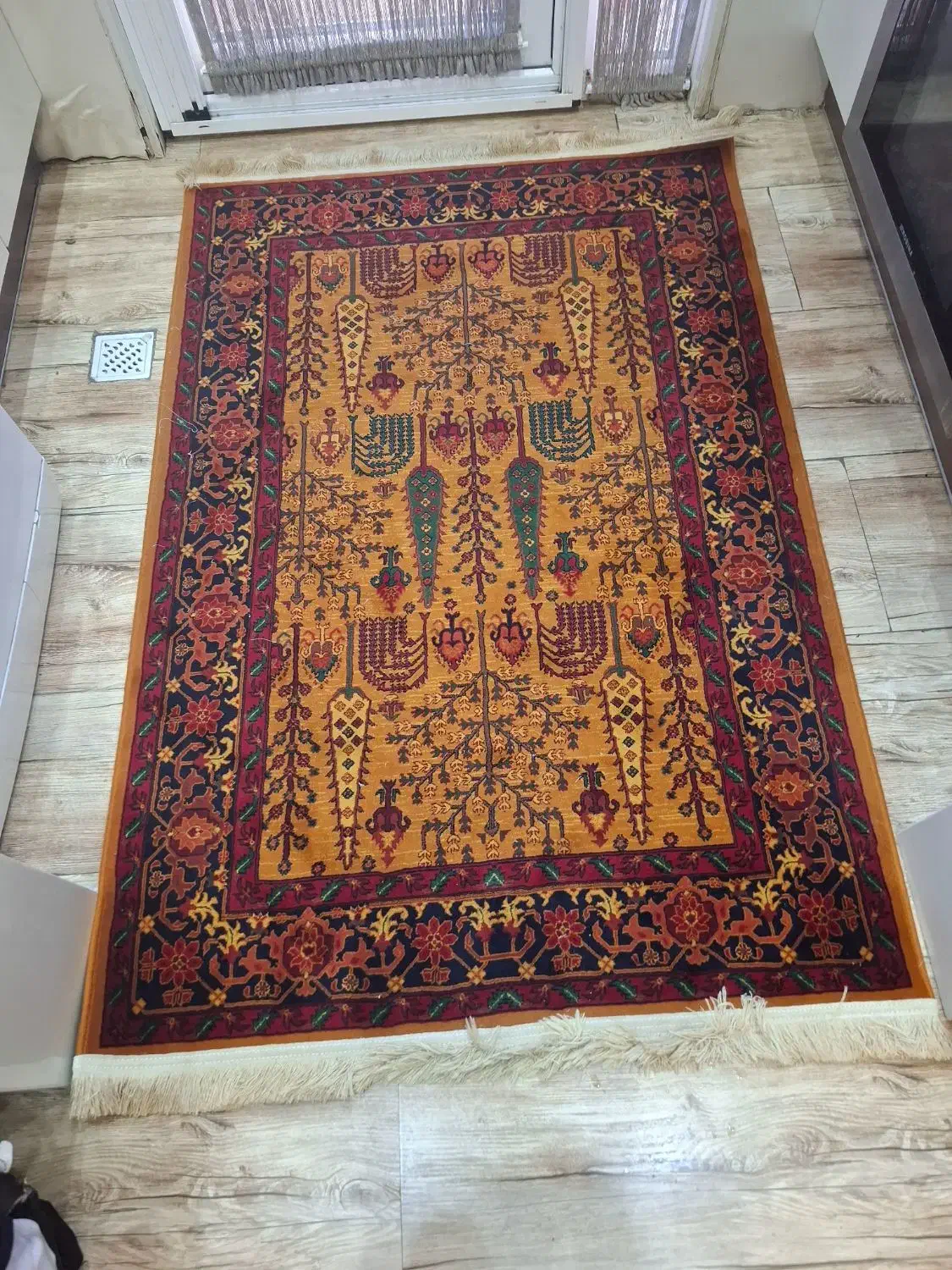 قالی|فرش|گرگان, |دیوار